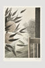 Leaning Flowers Lithograph <br/> by Robert Kipniss
