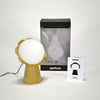  Daisy lamp by Nika Zupanc for Qeeboo sold by the modern archive